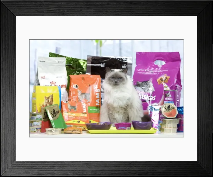 Framed Print : Picture No. 10947922 Framed Print : Picture No. 10947922