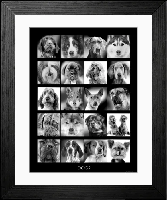 Framed Print : Picture No. 10947935 Framed Print : Picture No. 10947935