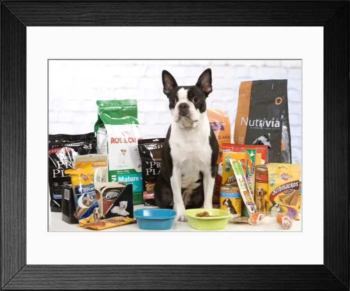 Framed Print : Picture No. 10947923 Framed Print : Picture No. 10947923