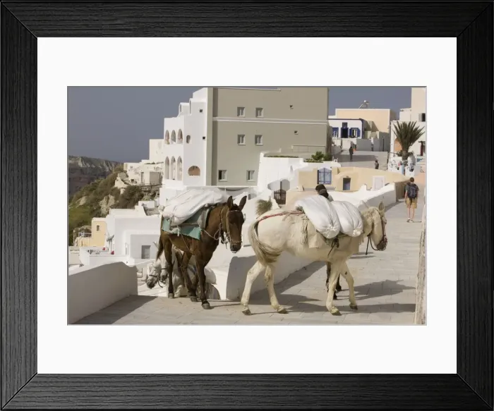 Framed Print : Picture No. 10947948 Framed Print : Picture No. 10947948