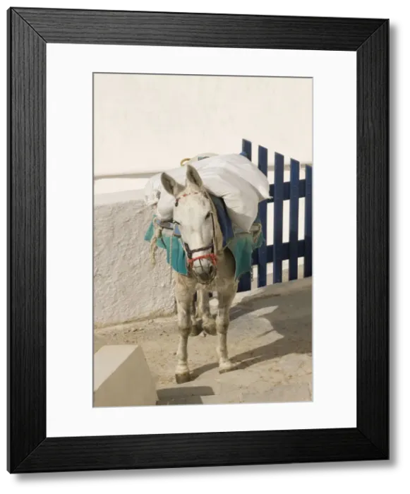 Framed Print : Picture No. 10947947 Framed Print : Picture No. 10947947