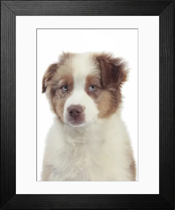 Framed Print : Picture No. 10947953 Framed Print : Picture No. 10947953