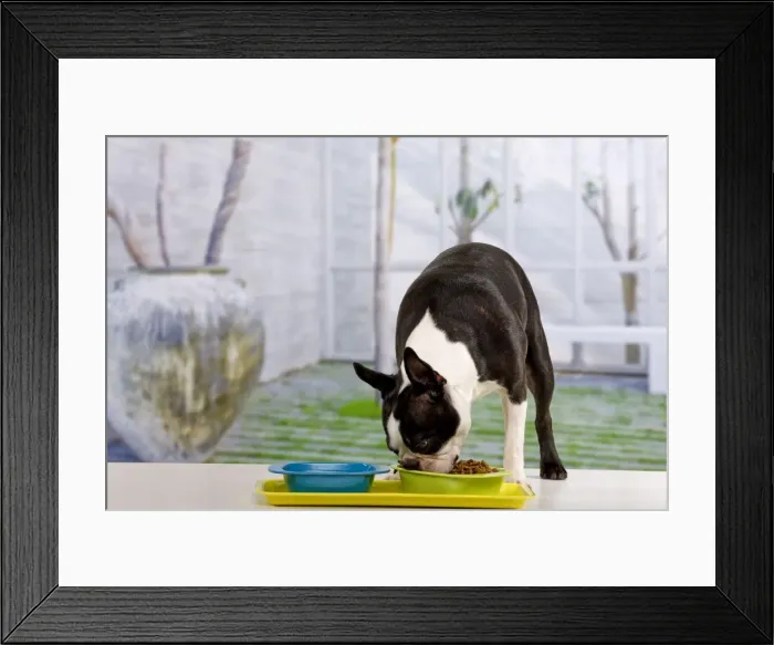 Framed Print : Picture No. 10947945 Framed Print : Picture No. 10947945