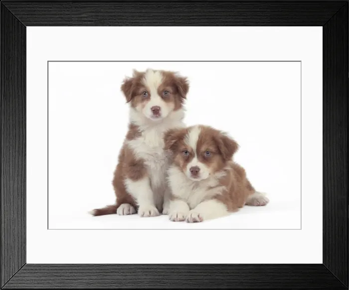 Framed Print : Picture No. 10947957 Framed Print : Picture No. 10947957