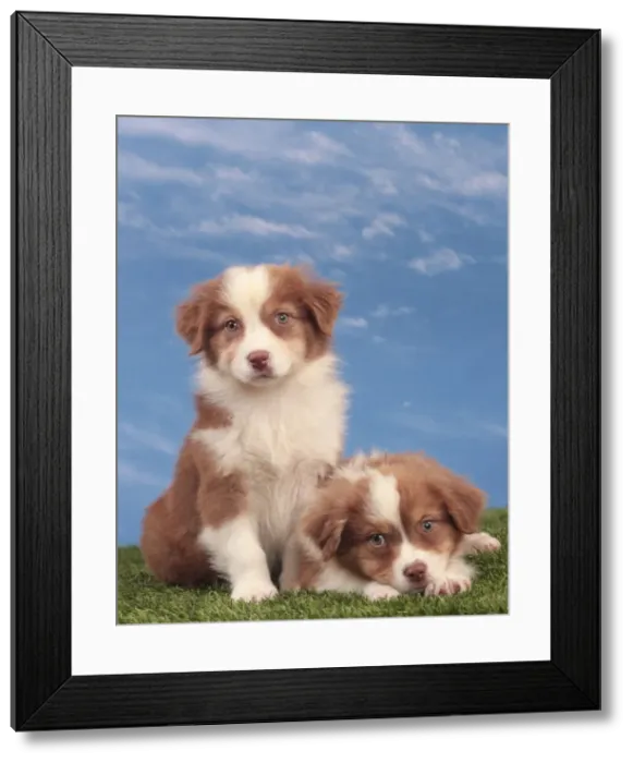 Framed Print : Picture No. 10947962 Framed Print : Picture No. 10947962