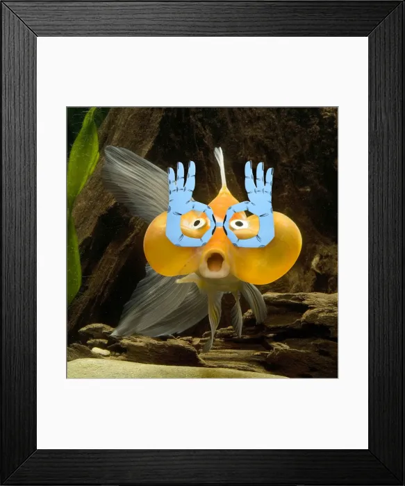 Framed Print : Picture No. 10947988 Framed Print : Picture No. 10947988
