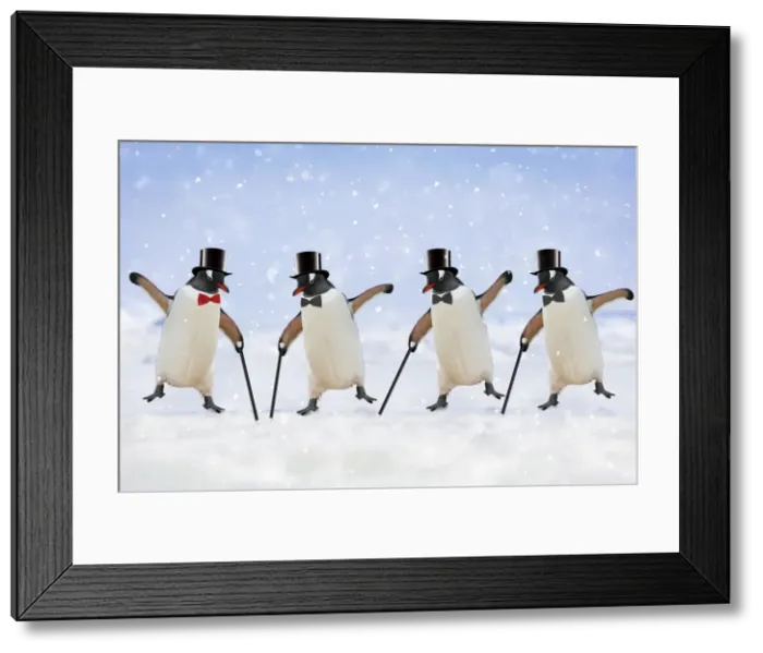 Framed Print : Picture No. 10982630