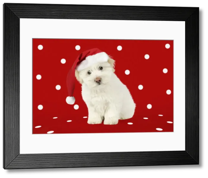 Framed Print : Picture No. 10982643 Framed Print : Picture No. 10982643