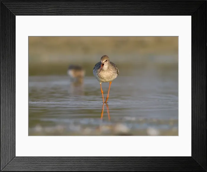 Framed Print : Picture No. 10982689 Framed Print : Picture No. 10982689