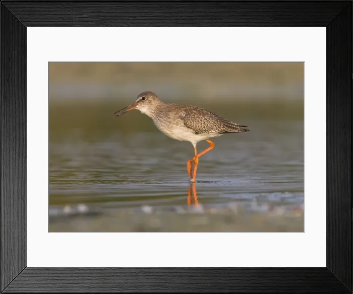 Framed Print : Picture No. 10982690 Framed Print : Picture No. 10982690