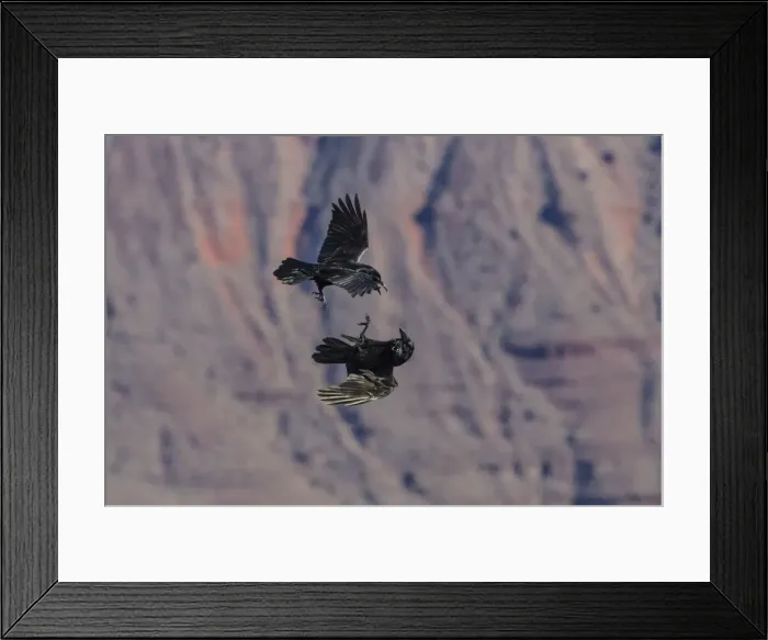 Framed Print : Picture No. 10982739 Framed Print : Picture No. 10982739