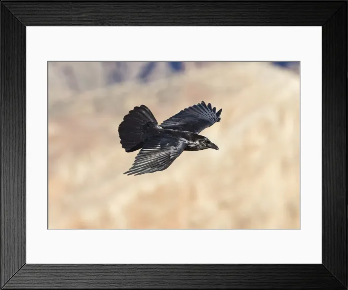 Framed Print : Picture No. 10982740 Framed Print : Picture No. 10982740