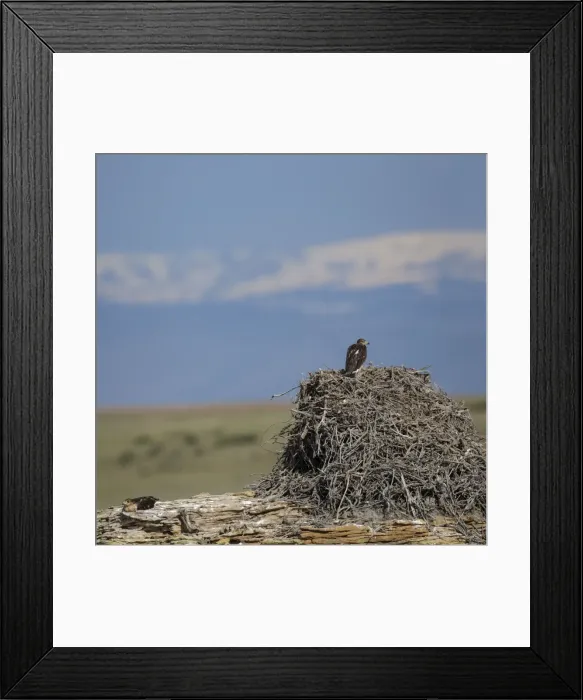 Framed Print : Picture No. 10982748 Framed Print : Picture No. 10982748