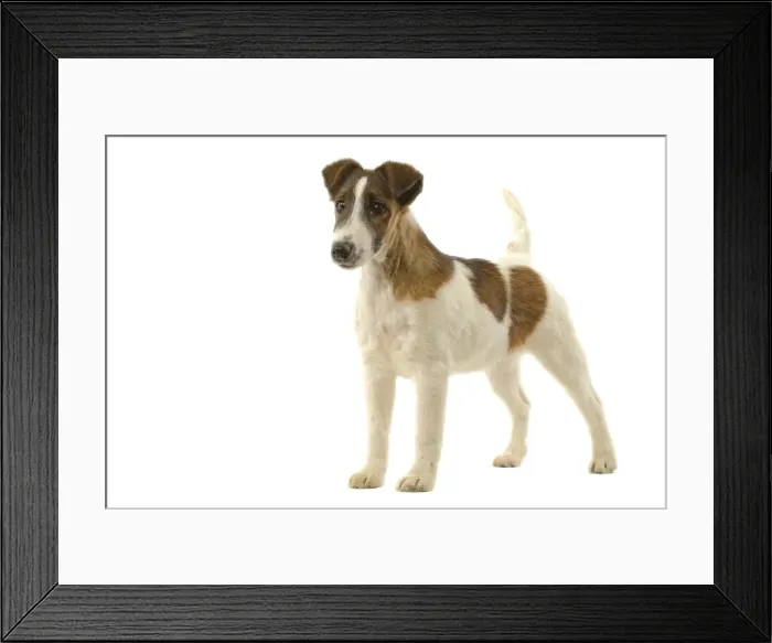 Framed Print : Picture No. 10982758 Framed Print : Picture No. 10982758