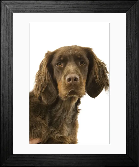 Framed Print : Picture No. 10982767 Framed Print : Picture No. 10982767