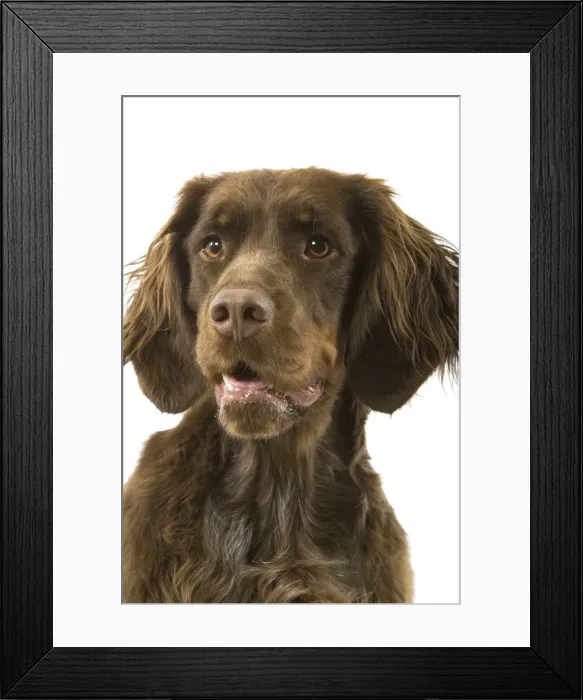 Framed Print : Picture No. 10982766 Framed Print : Picture No. 10982766