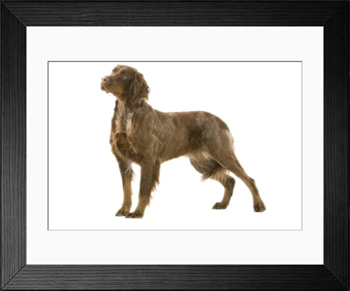 Framed Print : Picture No. 10982765 Framed Print : Picture No. 10982765