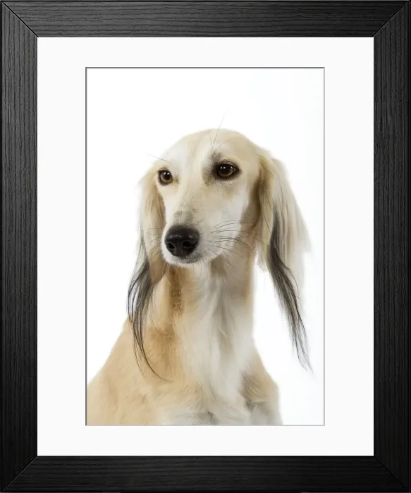 Framed Print : Picture No. 10982771 Framed Print : Picture No. 10982771
