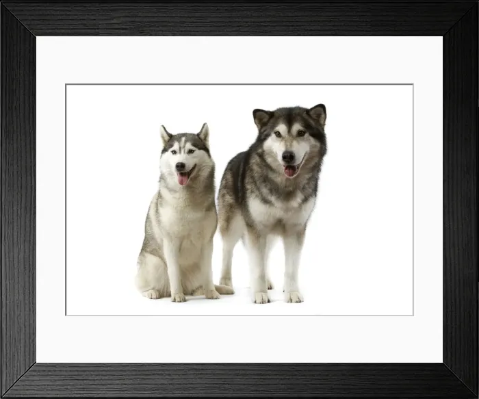 Framed Print : Picture No. 10982787 Framed Print : Picture No. 10982787