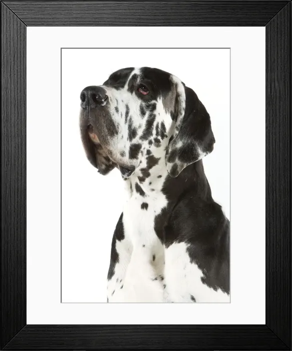 Framed Print : Picture No. 10982793 Framed Print : Picture No. 10982793