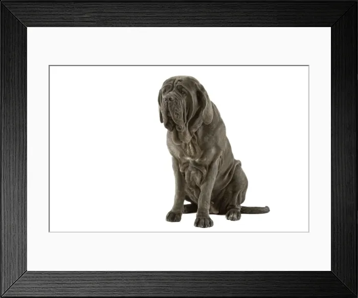 Framed Print : Picture No. 10982805