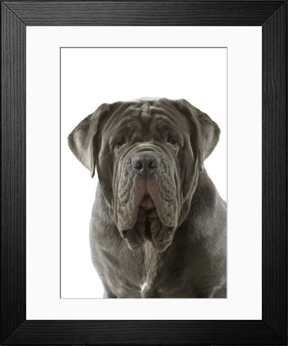 Framed Print : Picture No. 10982813 Framed Print : Picture No. 10982813