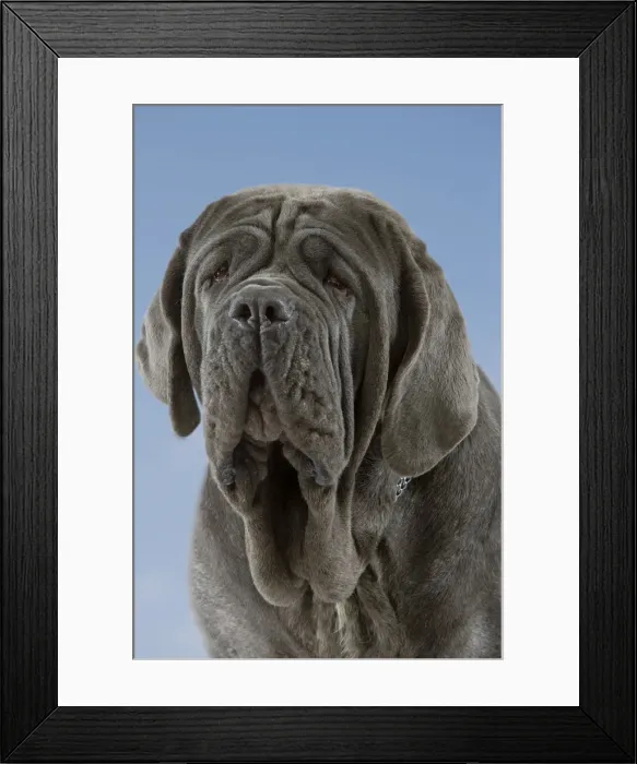 Framed Print : Picture No. 10982823 Framed Print : Picture No. 10982823