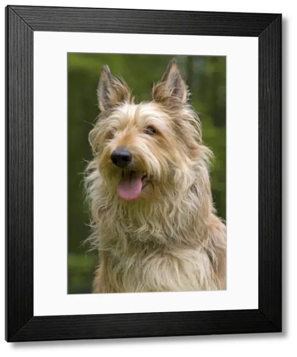 Framed Print : Picture No. 10982829 Framed Print : Picture No. 10982829