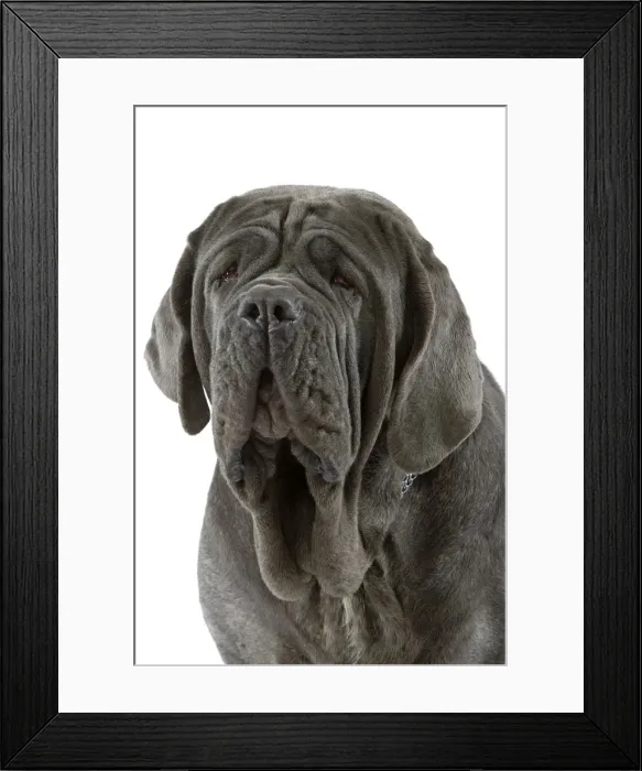 Framed Print : Picture No. 10982825 Framed Print : Picture No. 10982825