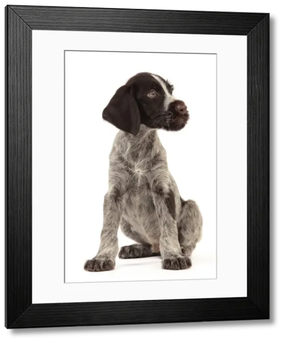 Framed Print : Picture No. 10982904 Framed Print : Picture No. 10982904