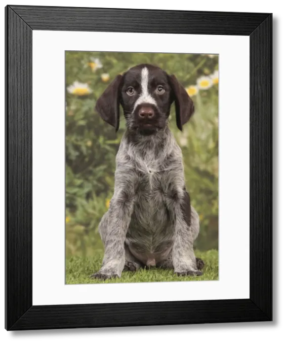 Framed Print : Picture No. 10982902 Framed Print : Picture No. 10982902