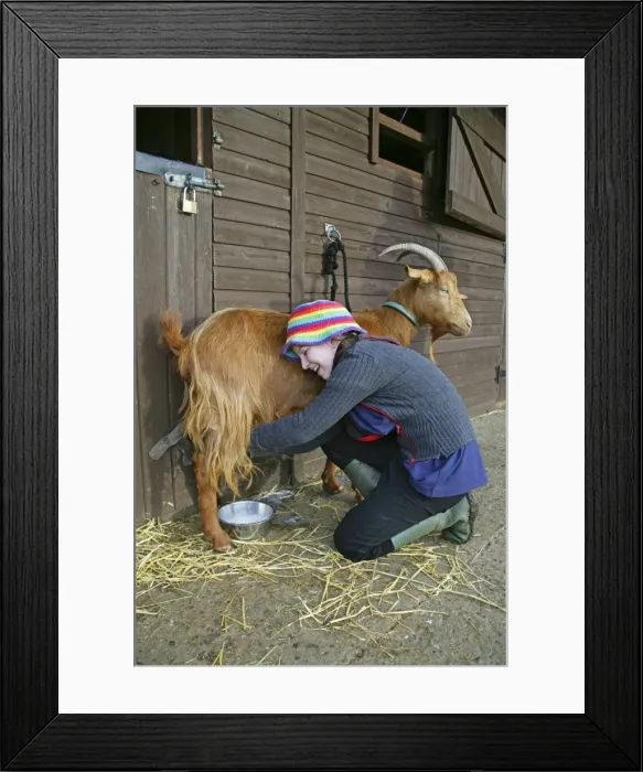 Framed Print : Picture No. 10744798 Framed Print : Picture No. 10744798