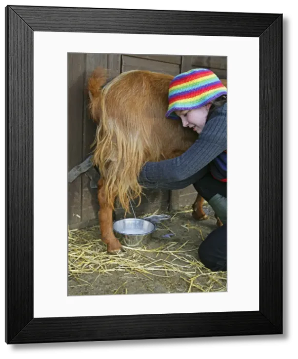 Framed Print : Picture No. 10744797 Framed Print : Picture No. 10744797