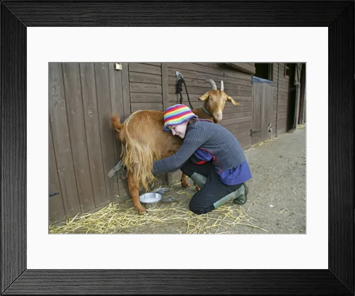 Framed Print : Picture No. 10744799 Framed Print : Picture No. 10744799