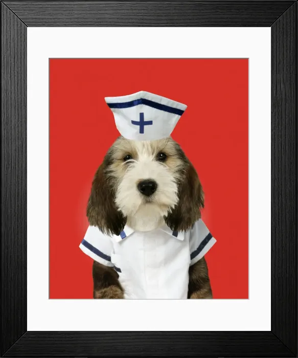 Framed Print : Picture No. 10744877 Framed Print : Picture No. 10744877