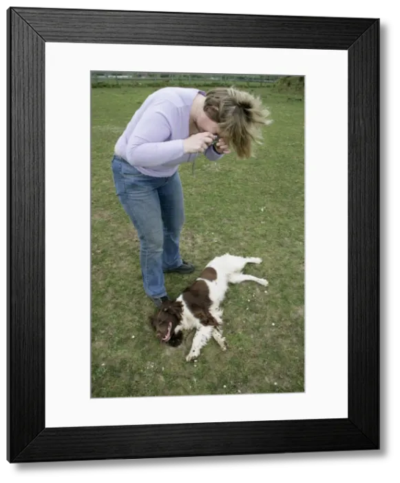 Framed Print : Picture No. 10745100