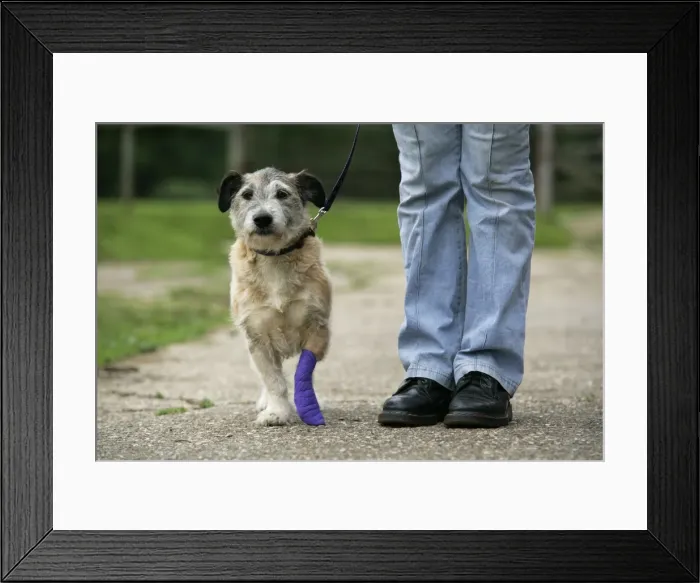 Framed Print : Picture No. 10745210 Framed Print : Picture No. 10745210