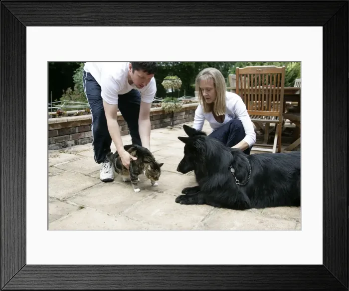Framed Print : Picture No. 10745214 Framed Print : Picture No. 10745214