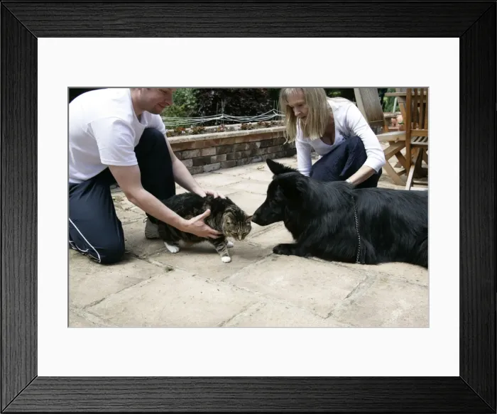 Framed Print : Picture No. 10745213 Framed Print : Picture No. 10745213