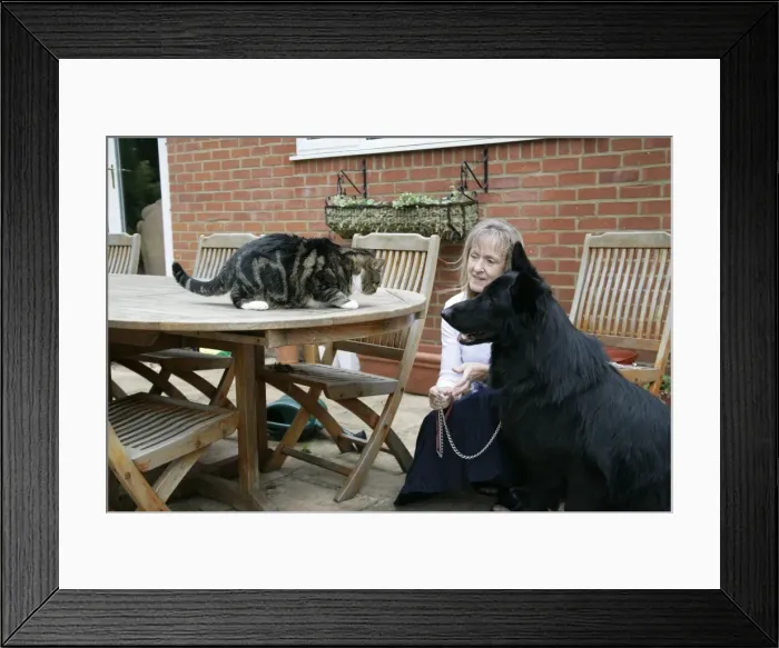 Framed Print : Picture No. 10745215 Framed Print : Picture No. 10745215