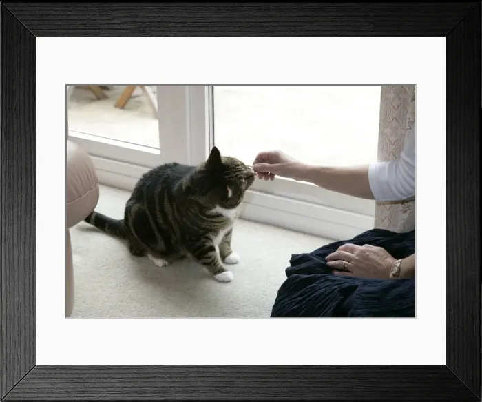 Framed Print : Picture No. 10745218 Framed Print : Picture No. 10745218