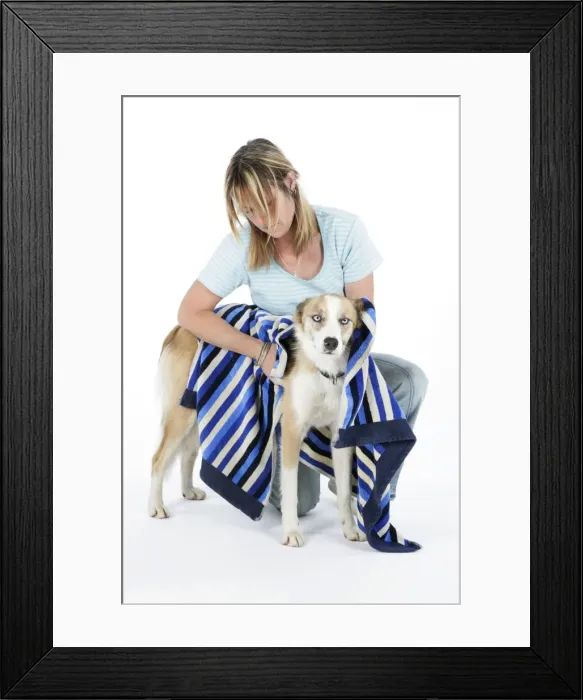 Framed Print : Picture No. 10745238