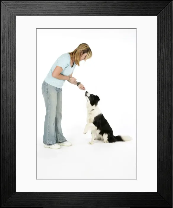 Framed Print : Picture No. 10745244 Framed Print : Picture No. 10745244