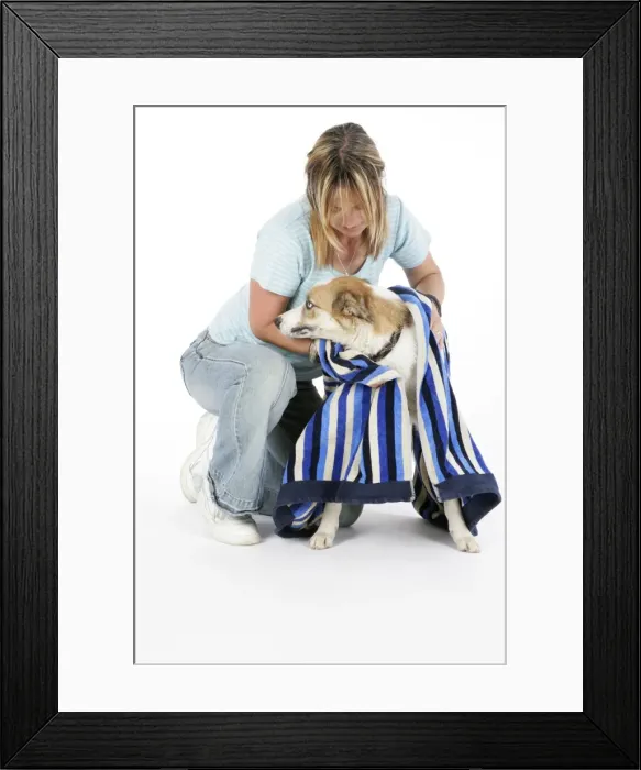 Framed Print : Picture No. 10745237 Framed Print : Picture No. 10745237