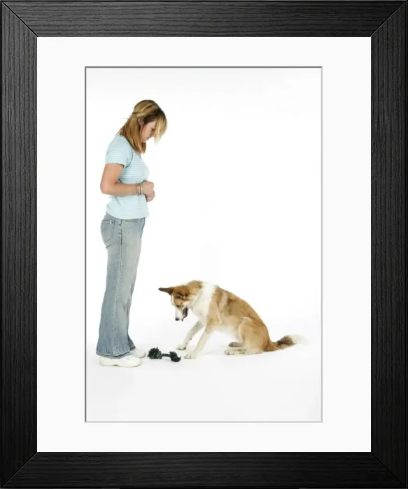 Framed Print : Picture No. 10745241 Framed Print : Picture No. 10745241