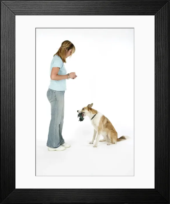 Framed Print : Picture No. 10745240 Framed Print : Picture No. 10745240