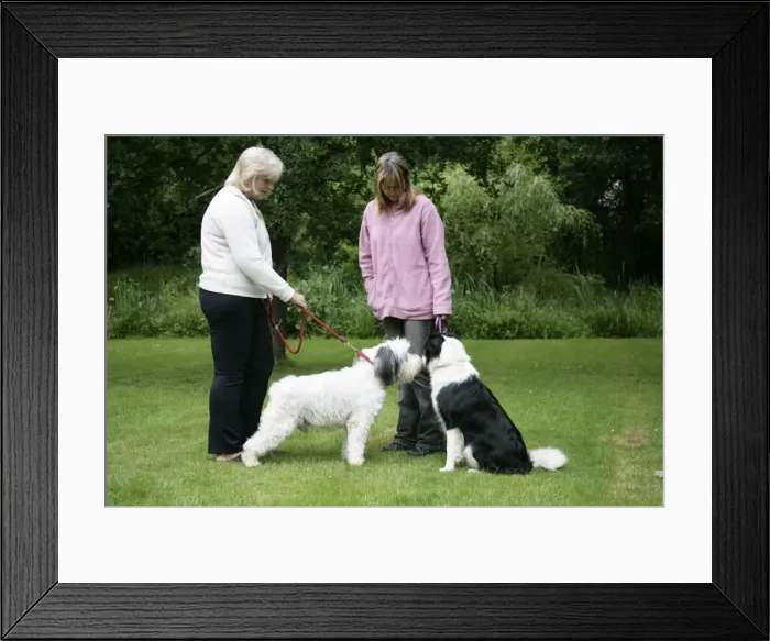 Framed Print : Picture No. 10745250