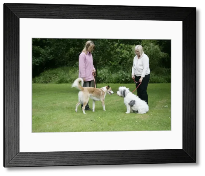 Framed Print : Picture No. 10745253