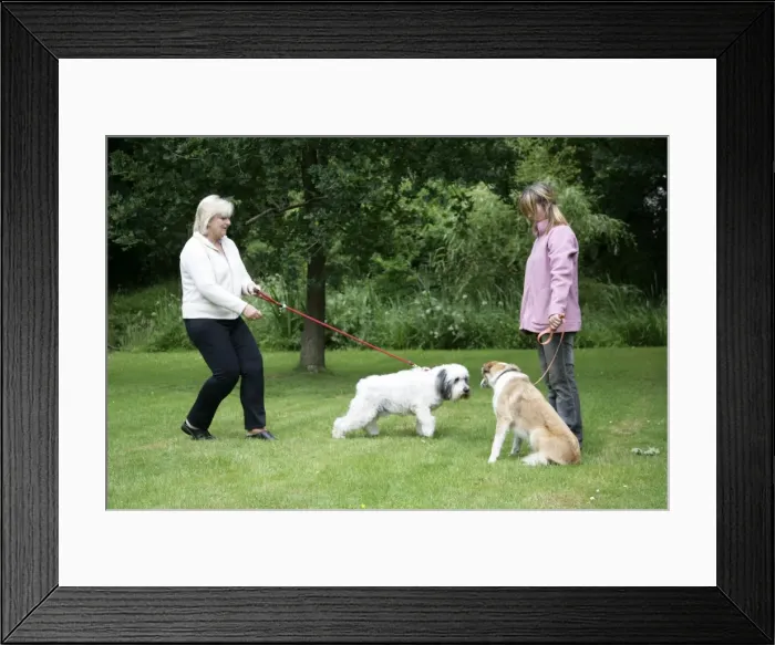 Framed Print : Picture No. 10745251 Framed Print : Picture No. 10745251
