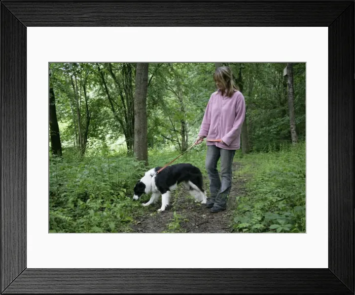 Framed Print : Picture No. 10745254 Framed Print : Picture No. 10745254